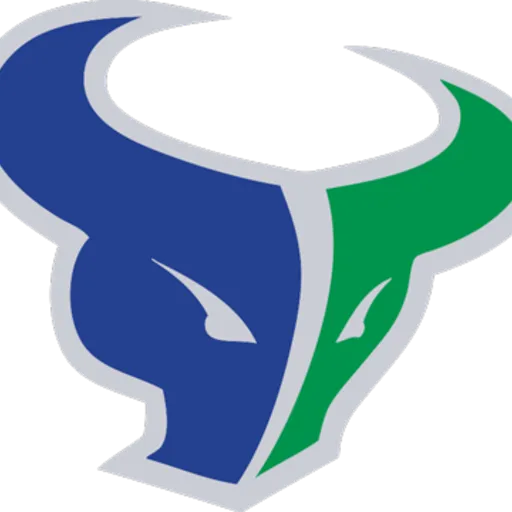 Mountain View High School